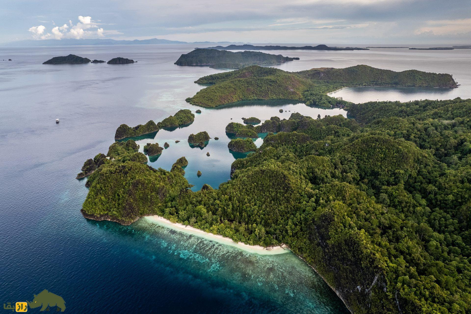 مثلث مرجانی؛ آمازون پنهان در دل دریا که در برابر تغییرات اقلیمی مقاومت میکند مثلث مرجانی؛ آمازون پنهان در دل دریا که در برابر تغییرات اقلیمی مقاومت میکند
