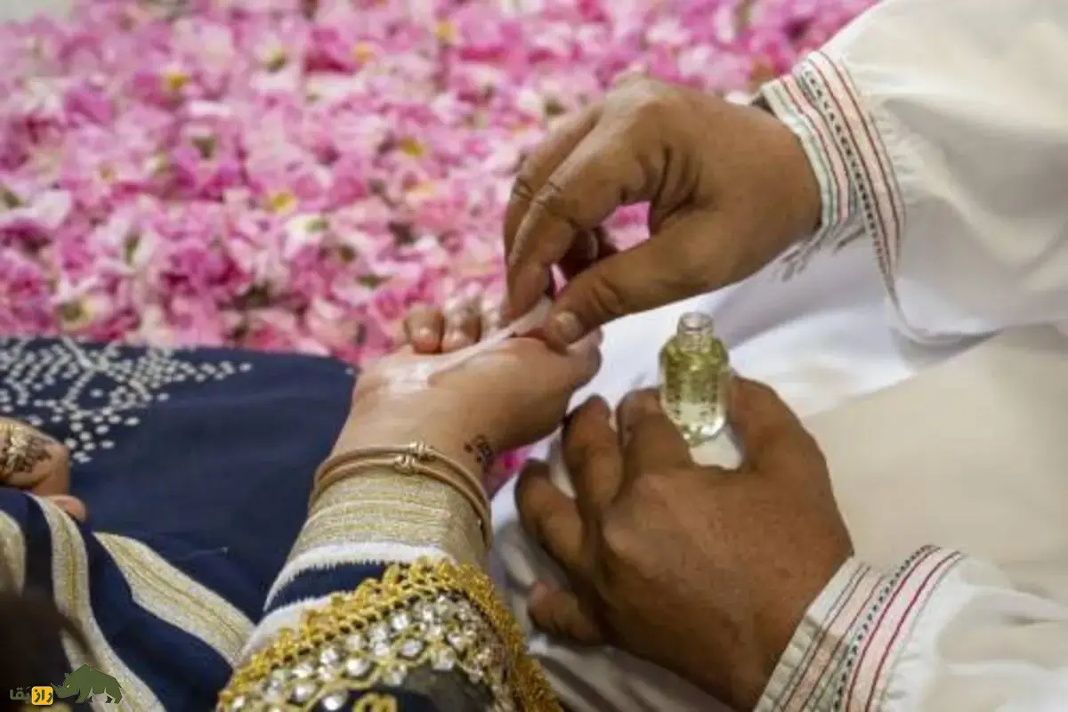 ثبت جهانی رز طائف عربستان: آیا گل محمدی ایران به نام عربستان ثبت شد؟