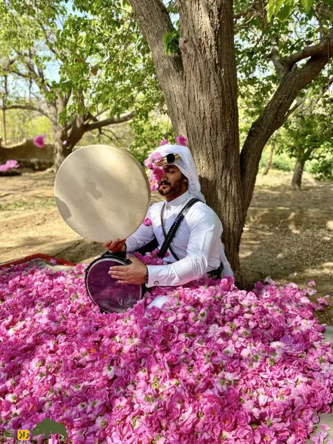 رز طائف عربستان