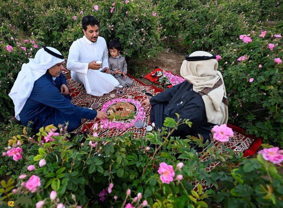 رز طائف عربستان