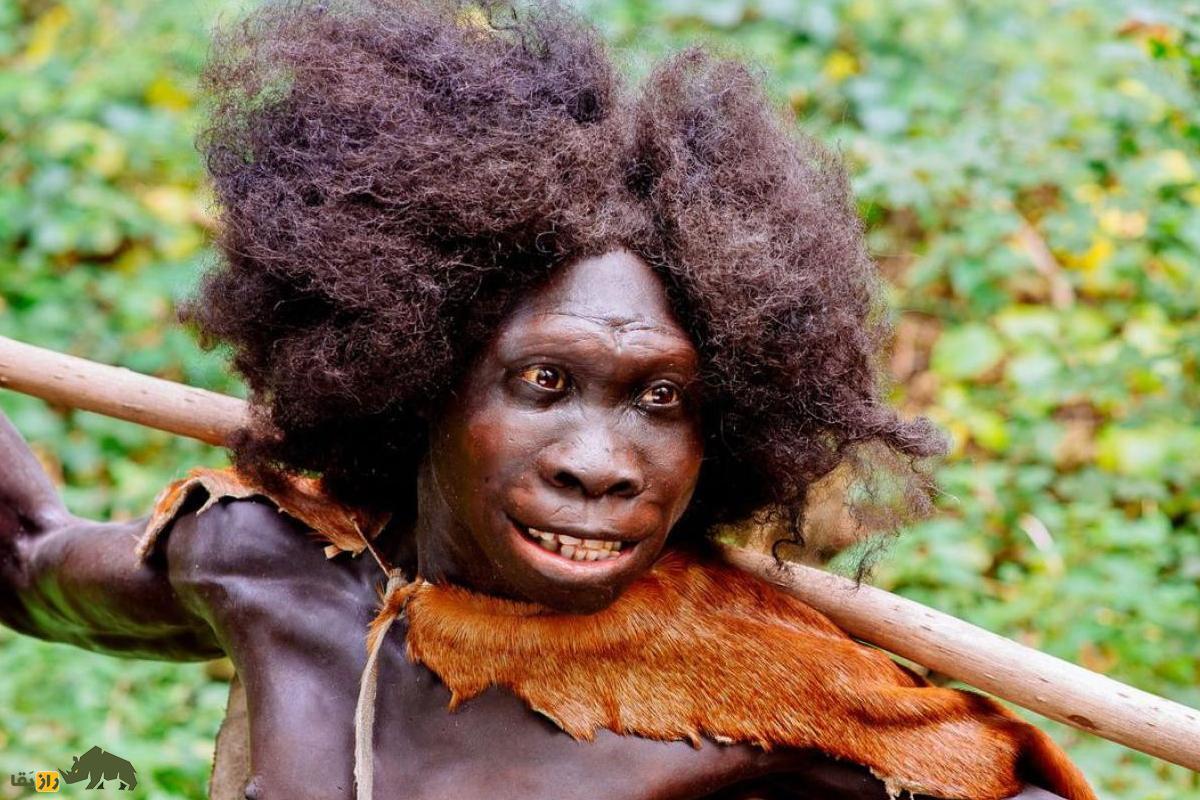 انسان‌های اولیه از چه بو‌ و عطر‌هایی برای قرار عاشقانه یا جلب توجه جنس مخالف استفاده می‌کردند؟