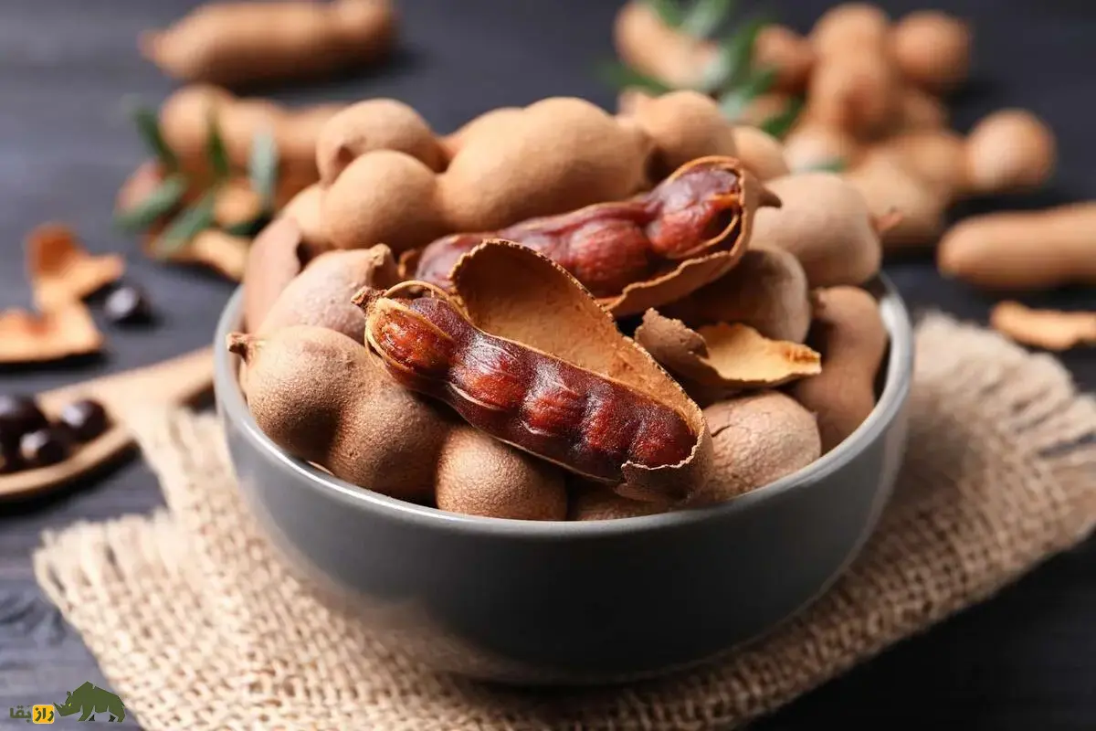 تمر هندی؛ میوه ترش و شیرین جنوب ایران و جهان که در خورشتها و دسرها معجزه میکند و خواص دارویی و غذایی شگفتانگیزی دارد! تمر هندی؛ میوه ترش و شیرین جنوب ایران و جهان که در خورشتها و دسرها معجزه میکند و خواص دارویی و غذایی شگفتانگیزی دارد!