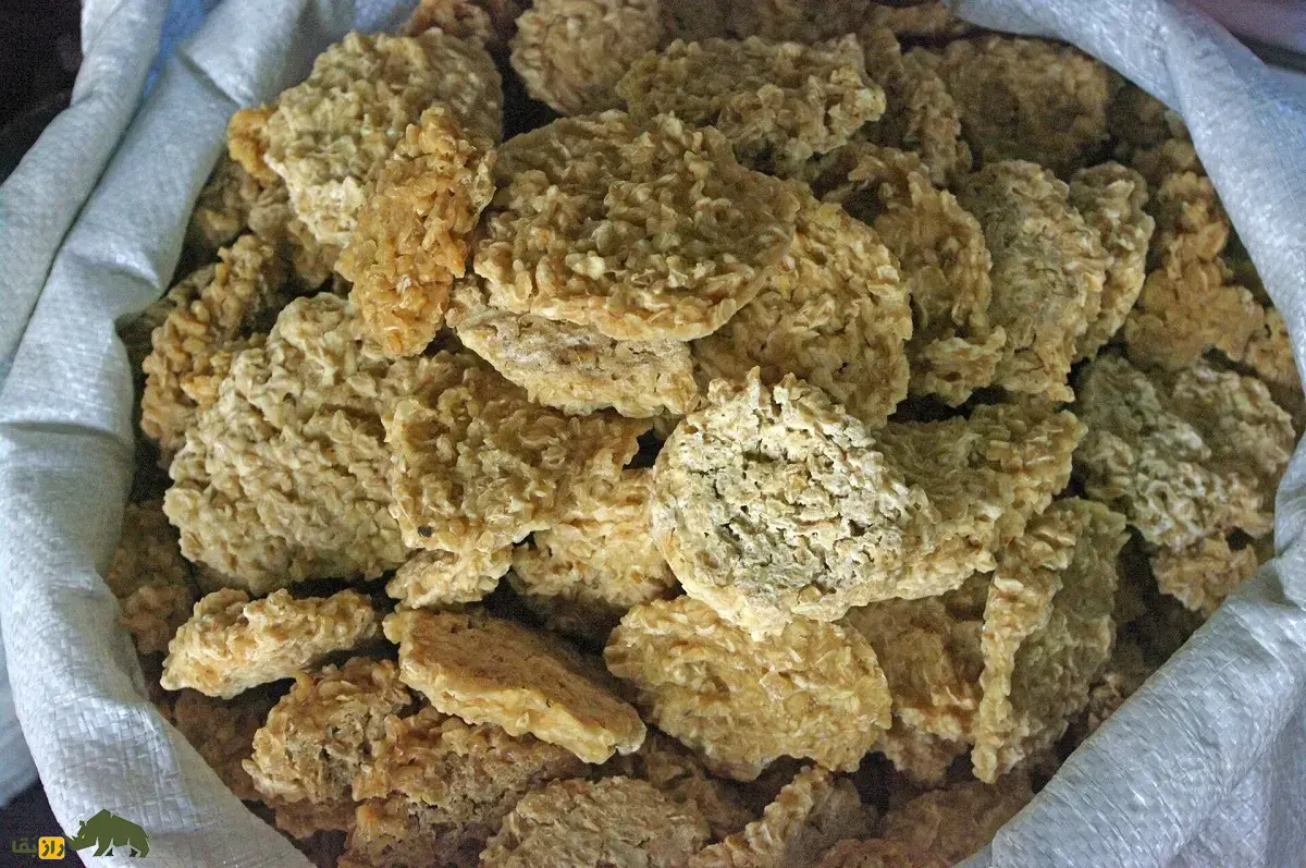 ترخینه یا کشکینه؛ قدیمیترین غذای نیمهآماده جهان معروف به «سوپ درمان سرماخوردگی» و سوپ بومی مردم زاگرس که در چهار کشور دیگر هم پخت میشود ترخینه یا کشکینه