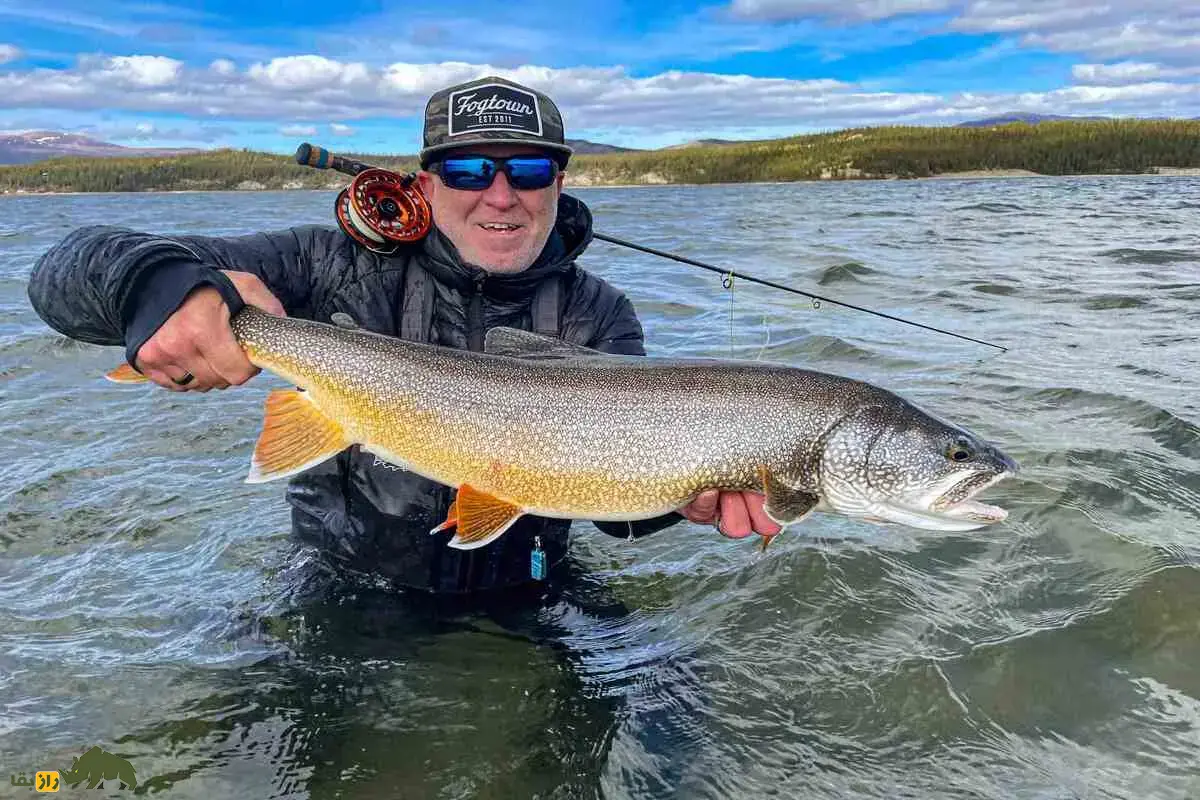 آزادماهی ولگا یا ماهی زیبا؛ شکارچی نقرهای دریای خزر با بدنی کشیده و دندانهای تیز که امروز در آستانه انقراض کامل قرار گرفته است! آزادماهی ولگا یا ماهی زیبا؛ شکارچی نقرهای دریای خزر با بدنی کشیده و دندانهای تیز که امروز در آستانه انقراض کامل قرار گرفته است!