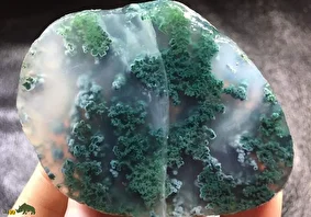 عقیق خزه‌ای؛ سنگ معروف به «سنگ شانس کشاورزان» که طرح مرموزی دارد و شبیه یک جنگل زنده است