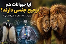 عشق یا غریزه؛ هنگام انتخاب جفت در ذهن حیوانات چه می‌گذرد؟ حقیقتی شگفت‌انگیز درباره رفتار جنسی حیوانات که شبیه انسان‌هاست
