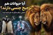 عشق یا غریزه؛ هنگام انتخاب جفت در ذهن حیوانات چه می‌گذرد؟ حقیقتی شگفت‌انگیز درباره رفتار جنسی حیوانات که شبیه انسان‌هاست