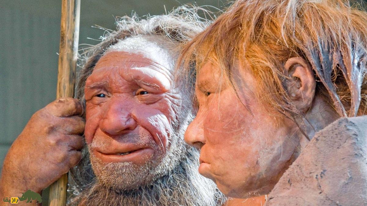 انسان‌های اولیه و نئاندرتال‌ها