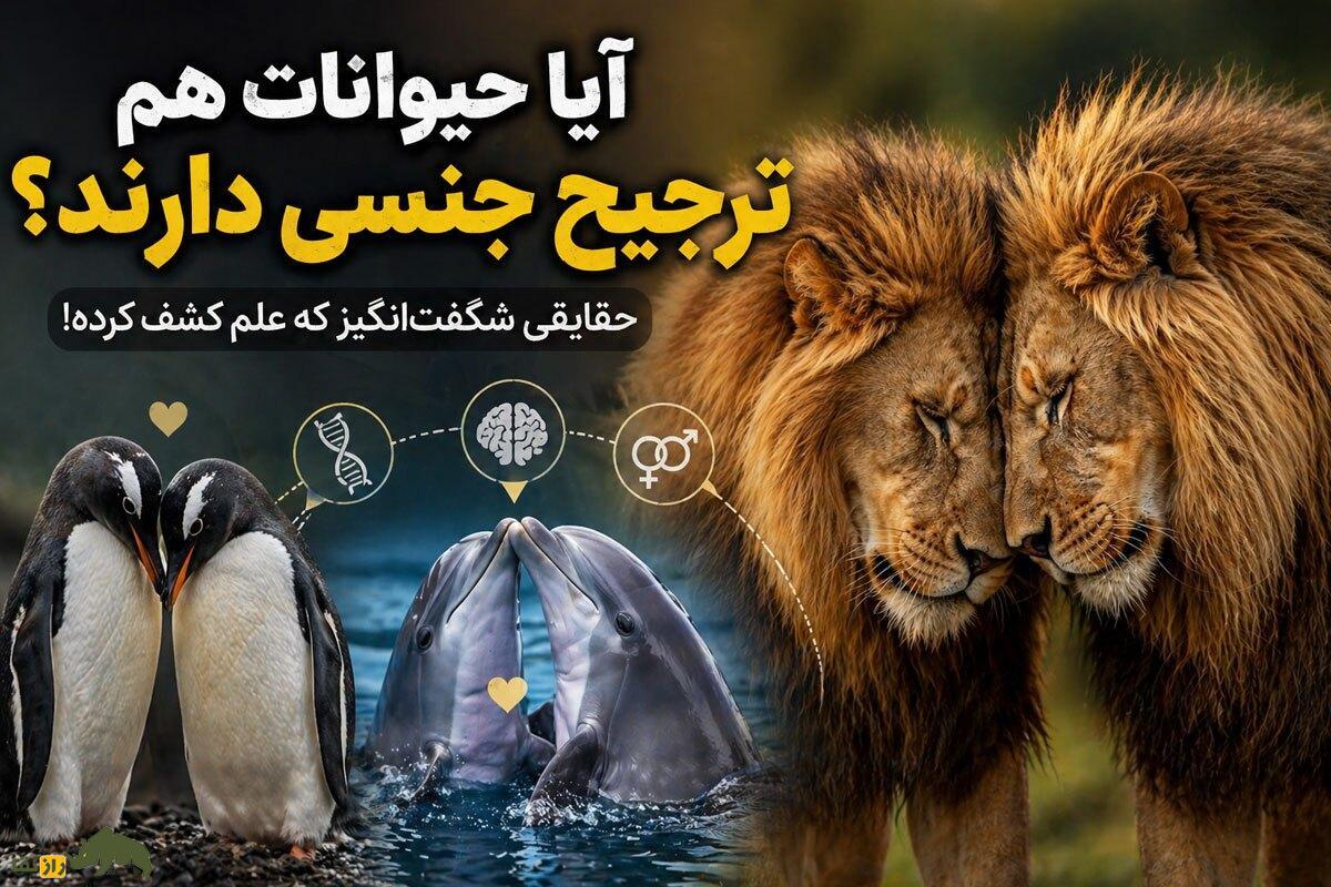 عشق یا غریزه؛ هنگام انتخاب جفت در ذهن حیوانات چه می‌گذرد؟ حقیقتی شگفت‌انگیز درباره رفتار جنسی حیوانات که شبیه انسان‌هاست
