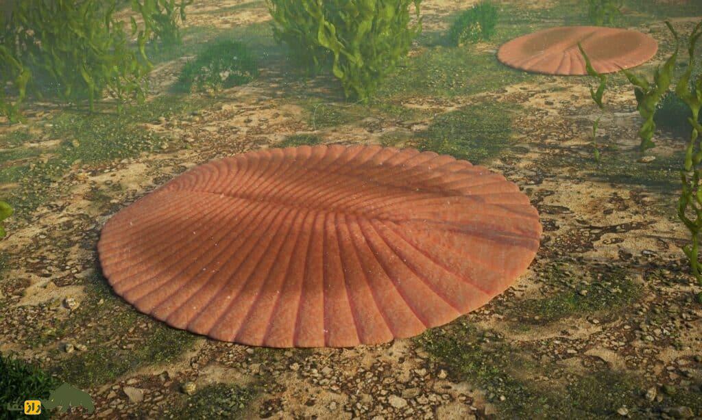 Dickinsonia