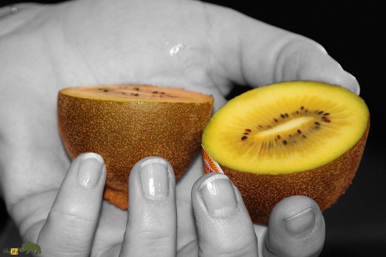کیوی طلایی