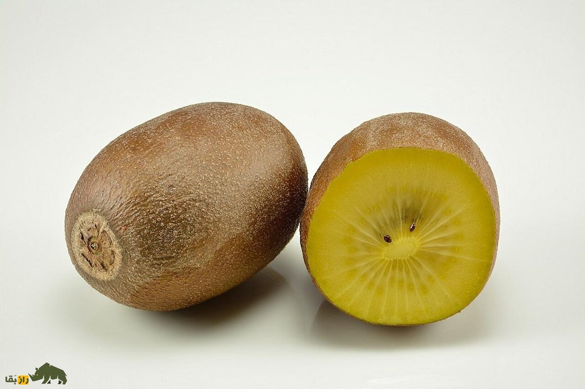 کیوی طلایی