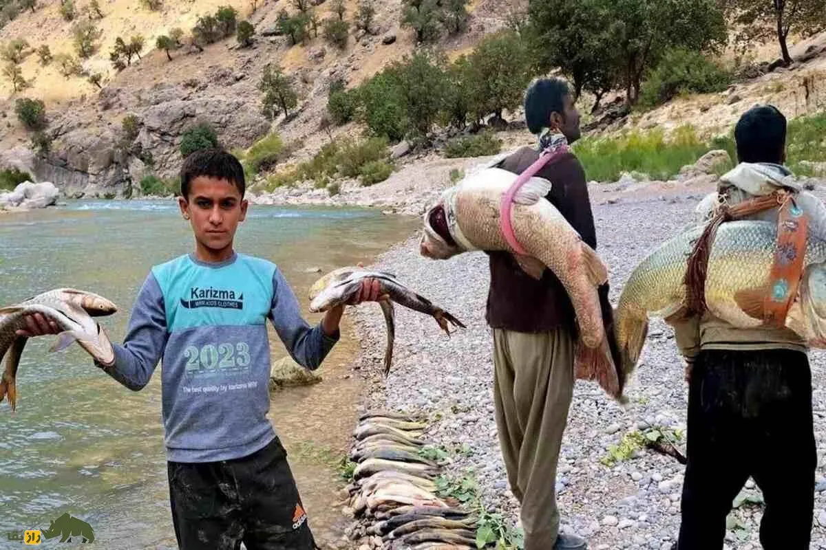 همه‌چیز درباره ماهی‌گیری در رودخانه‌ها و دریاچه‌های ایران؛ کدام رودهای ایران ماهی دارند و ماهی‌ها از چه گونه‌ای هستند؟