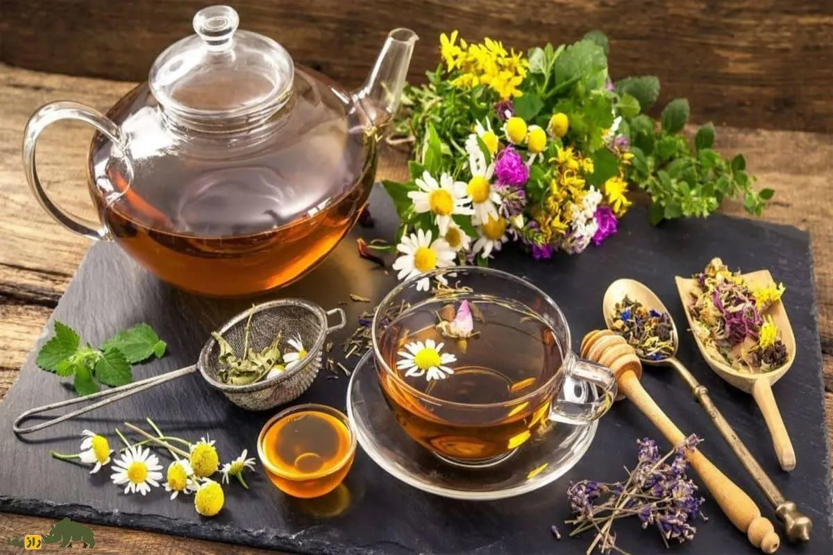 خواص شگفت‌انگیز نوشیدنی‌های گیاهی که زندگی شما را متحول می‌کند!