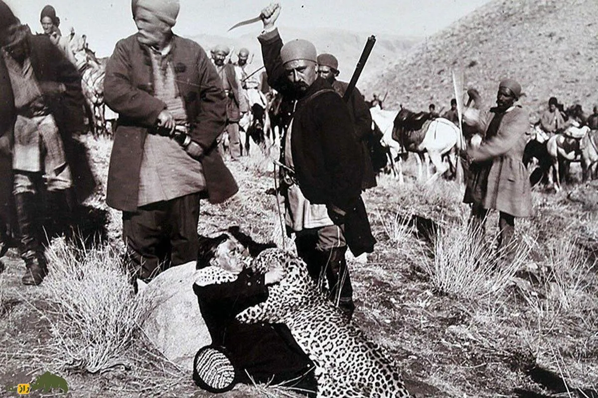 عکسی عجیب از شکار یک پلنگ غول‌پیکر ایرانی توسط درباریان قاجار