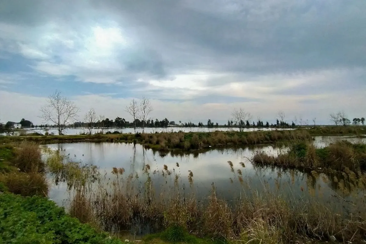 تالاب های ایران