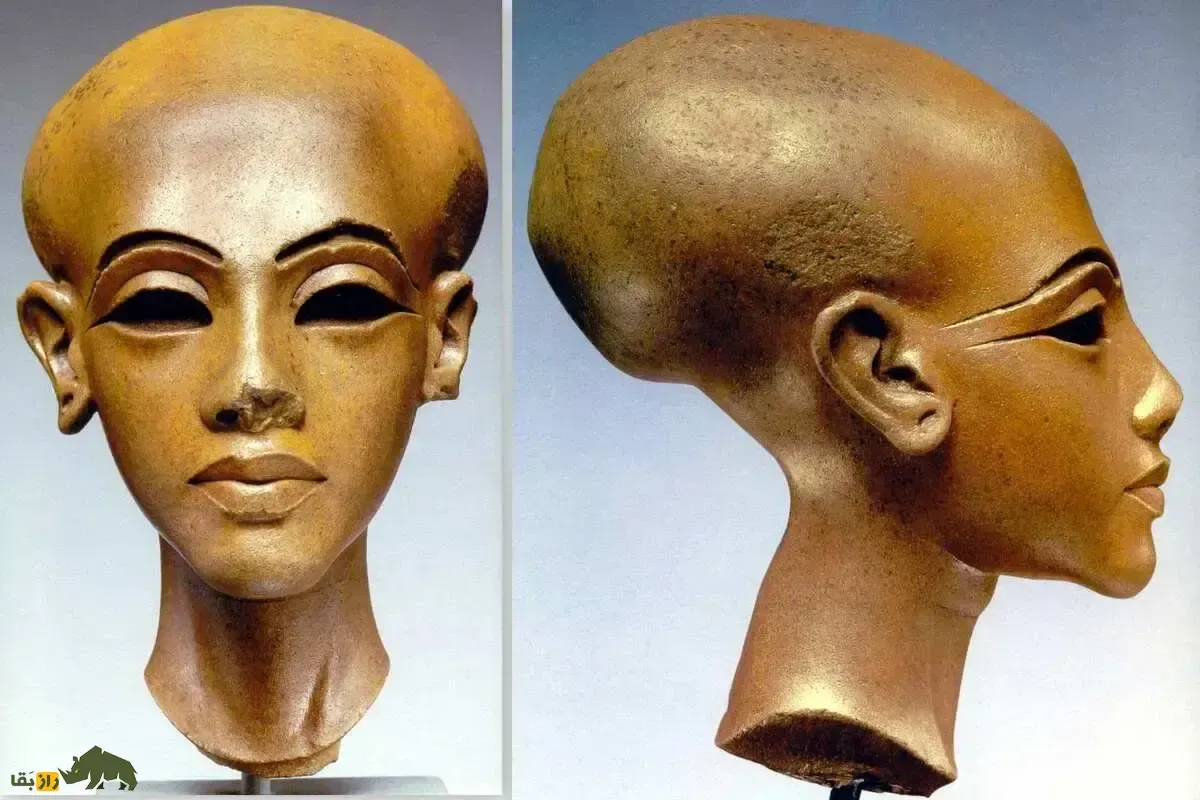 راز تغییر شکل جمجمه در مصر باستان؛ چرا زنان مصر باستان کله‌های اتوبوسی داشتند؟