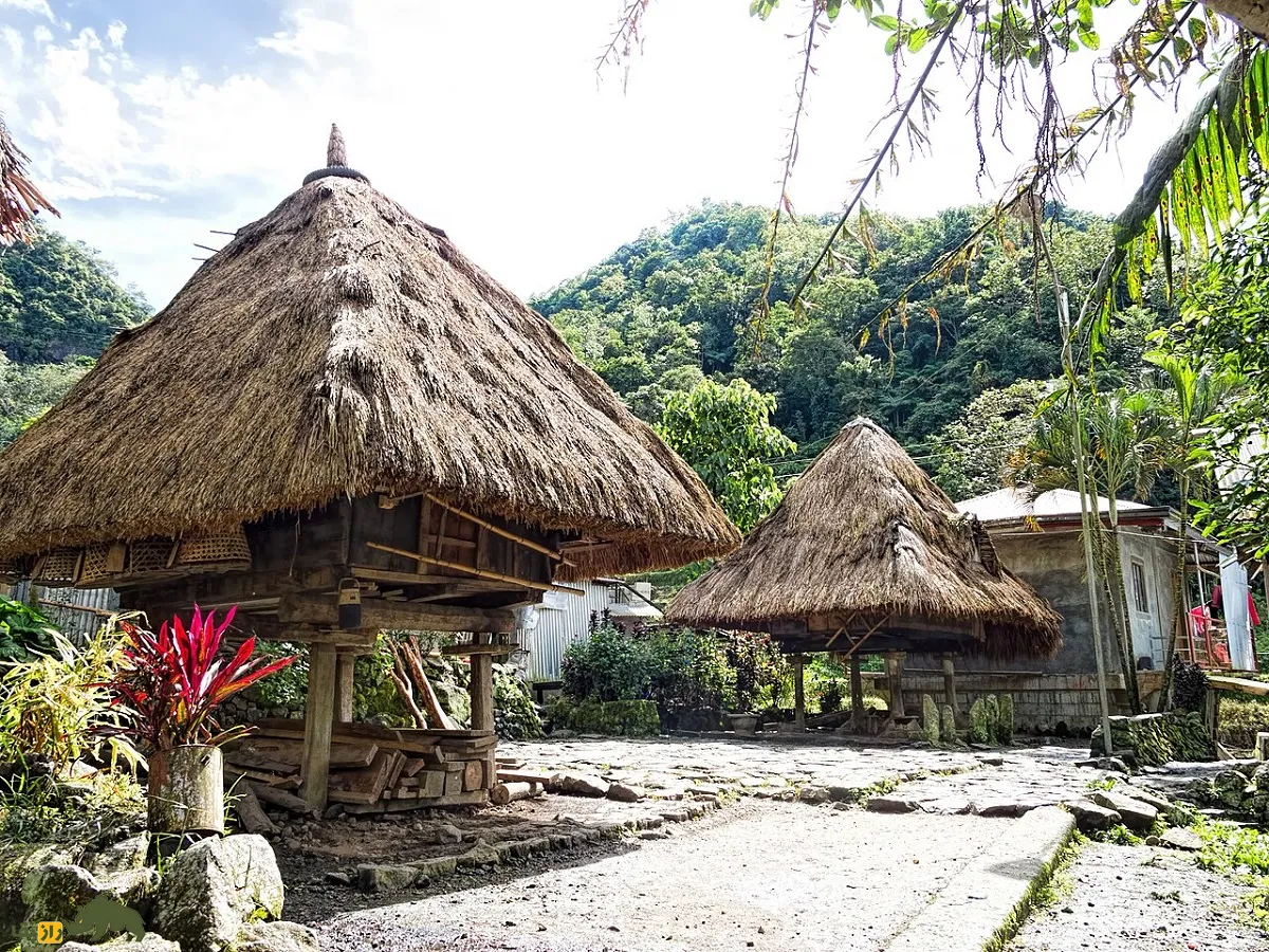 نخل خوشبختی