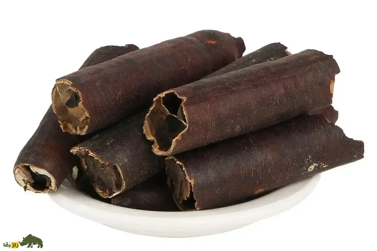 فلوس یا خیار شنبر؛ گیاهی خودرو با میوه‌ای شبیه غلاف معروف به «خرنوب هندی» که ملین است و در شهر‌های جنوبی ایران رشد می‌کند